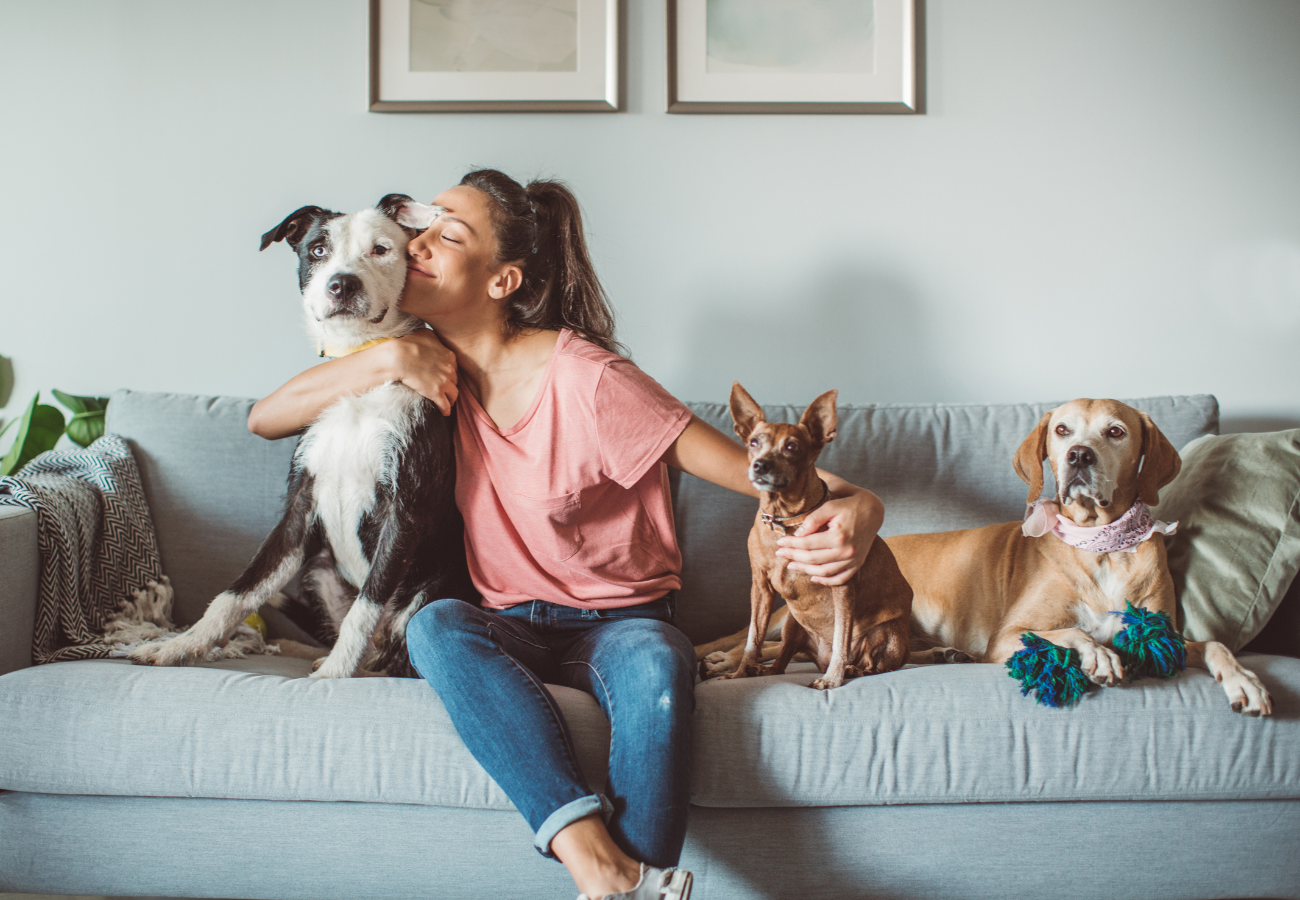 PetCare